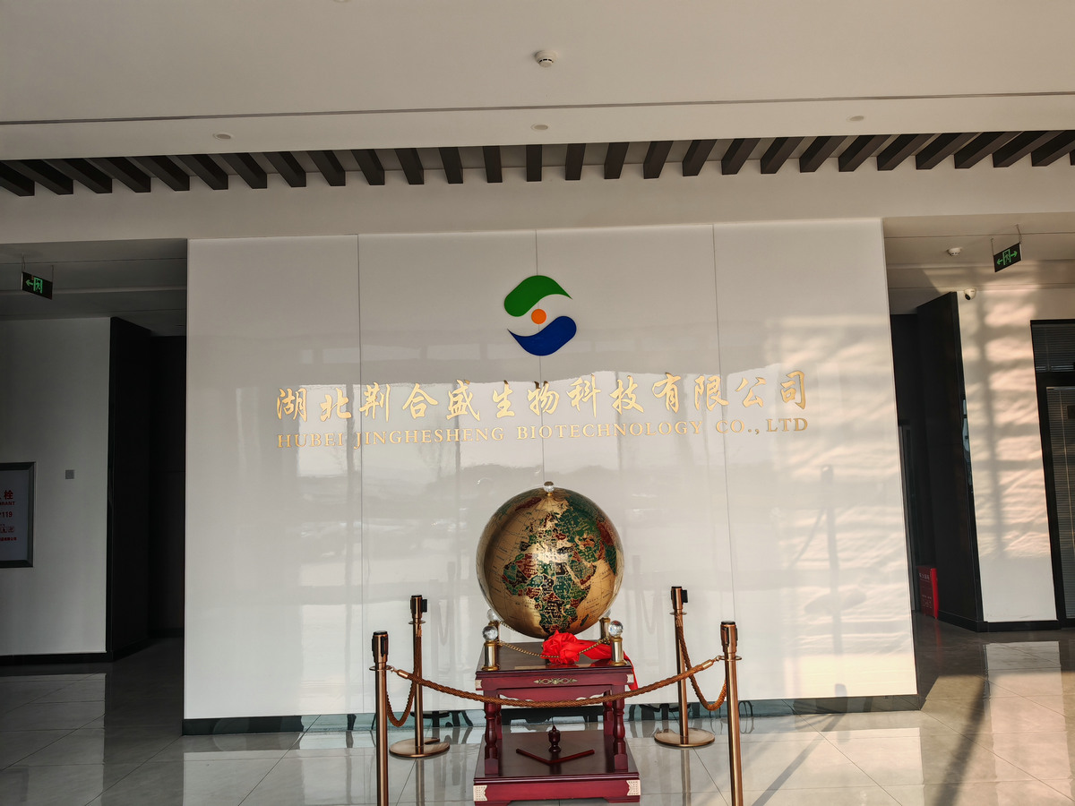 公司大厅